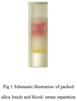 Schematic illustration of packed silica beads and blood/ serum separation