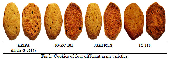 Figure 1: Cookies of four different gram varieties.