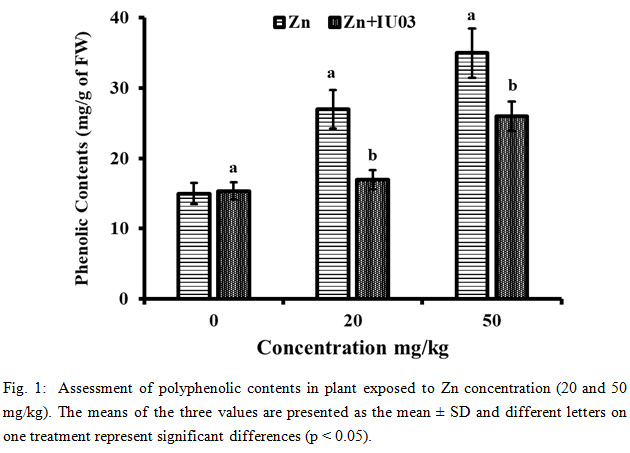 Figure 1: Assessment of polyphenolic contents in plant exposed to Zn concentration (20 and 50 mg/kg). The means of the three values are presented as the mean ± SD and different letters on one treatment represent significant differences (p < 0.05)