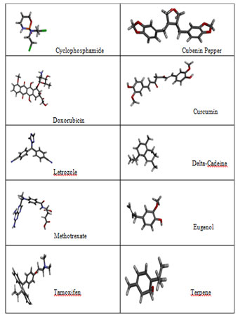 Figure 2 .Natural compounds and synthetic compounds three dimensional structures