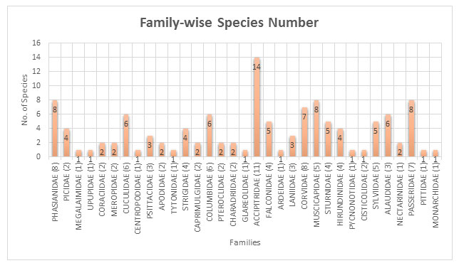 Fig. 3. Graph showing family wise species number of birds associated to Grassland