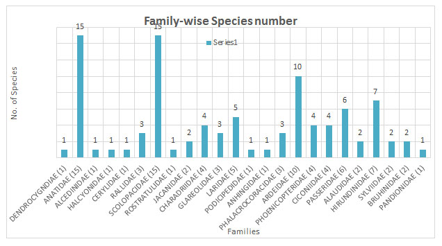 Fig. 4. Graph showing family wise species number of birds associated to Wetland.