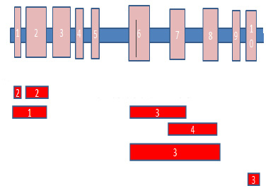 Figure 3: Block diagram of the System